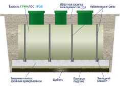 Гринлос Пром 50